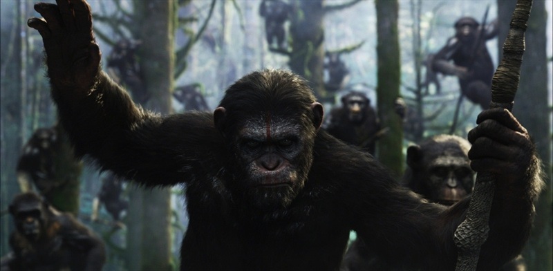 The Dawn of the Planet of the Apes