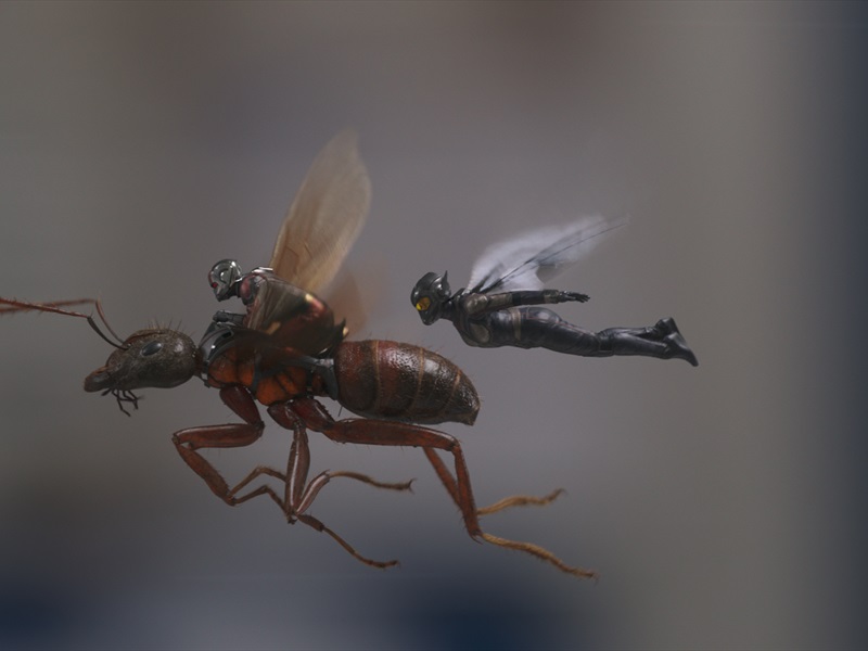 Человек-муравей и Оса