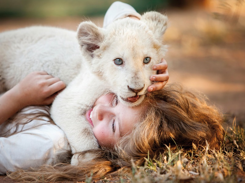 Mia un baltā lauva